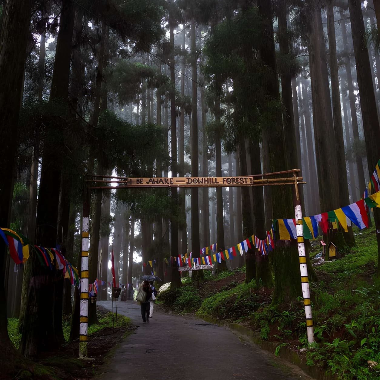 Meghalaya Mountains